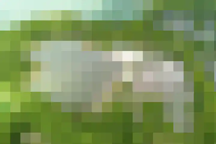 Merellaan 3 Nieuwe Pekela thumbnail 52
