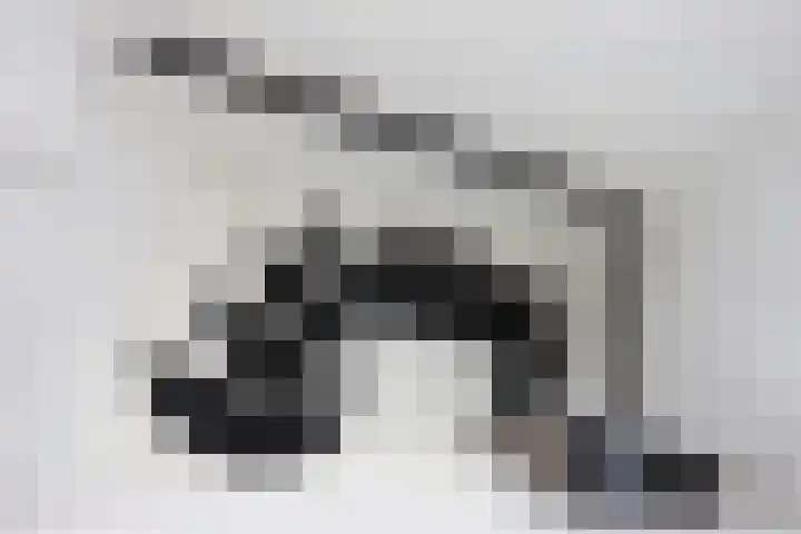 Merellaan 30 Ede thumbnail 25