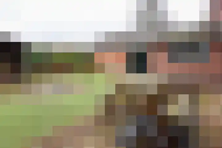 Merellaan 30 Ede thumbnail 33