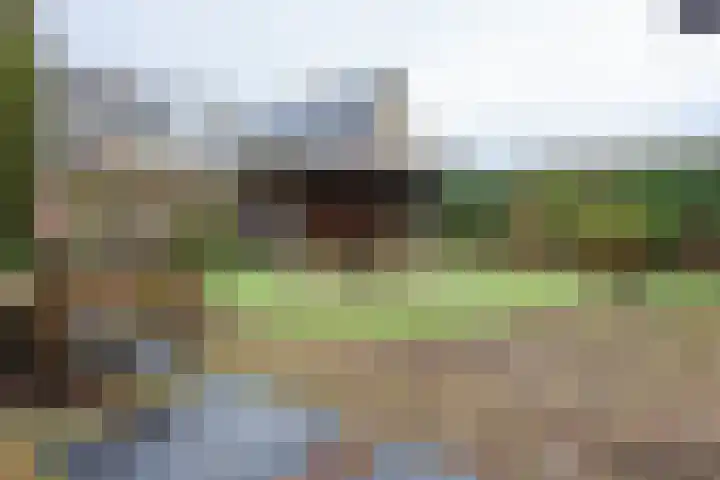 Merellaan 30 Ede thumbnail 34