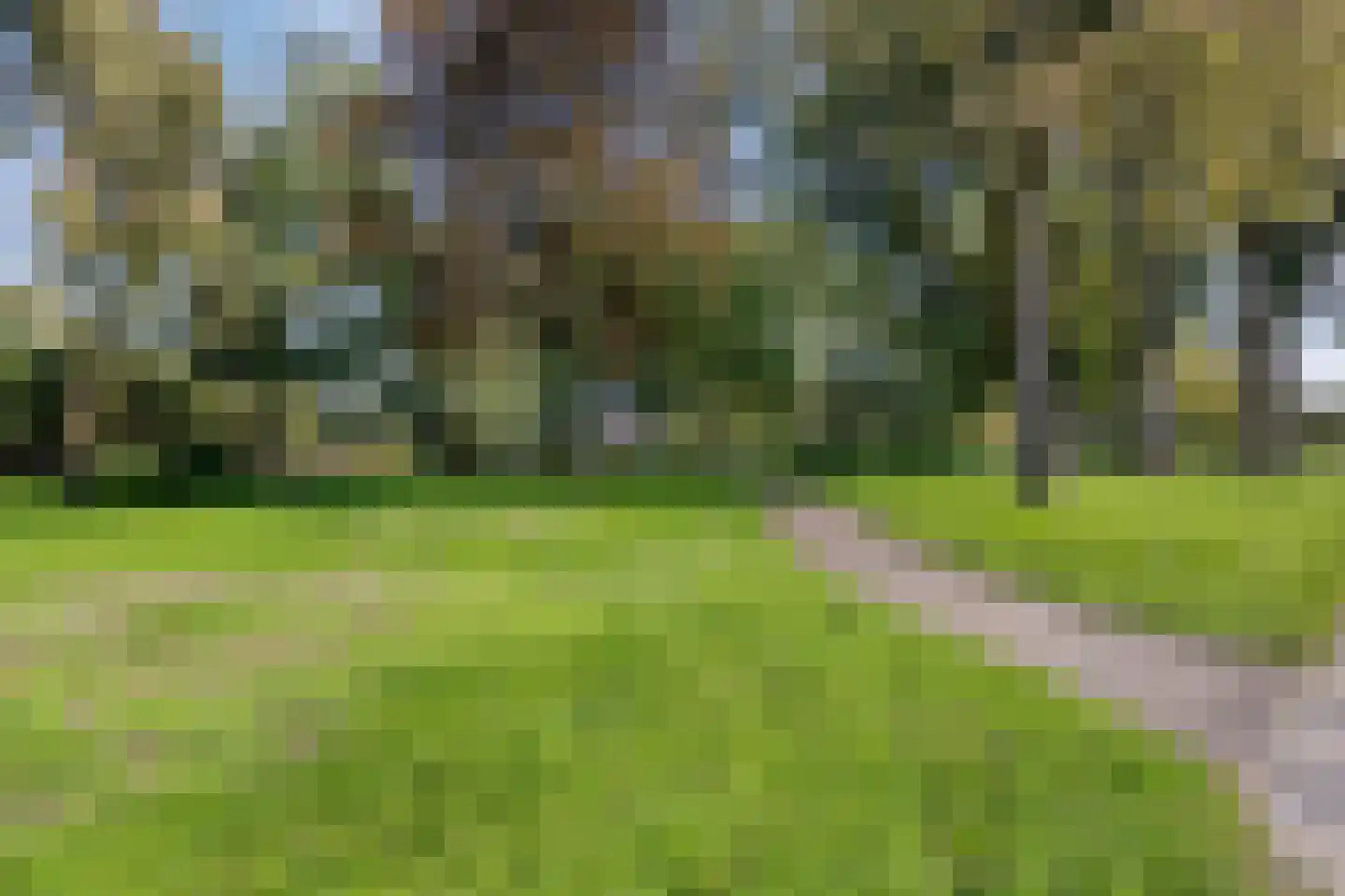 Merellaan 319 Maassluis thumbnail 36