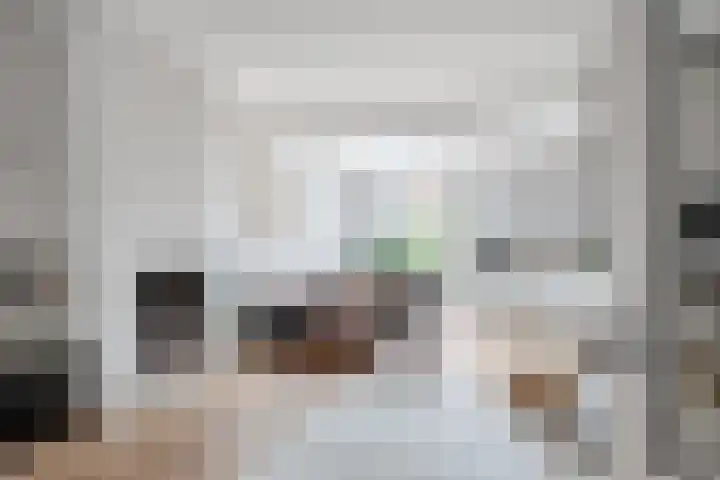 Merellaan 32 Vlaardingen thumbnail 10