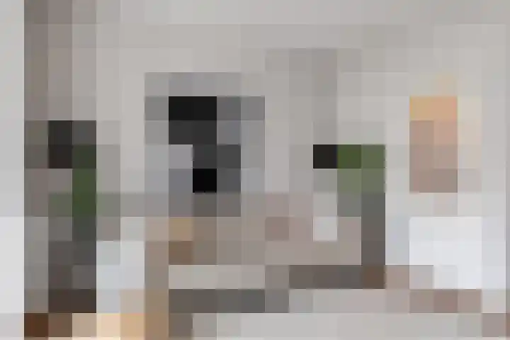 Merellaan 32 Vlaardingen thumbnail 15