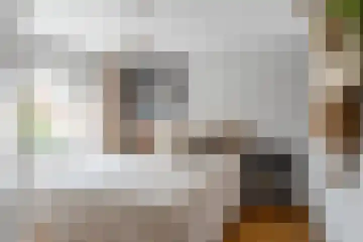 Merellaan 32 Vlaardingen thumbnail 29