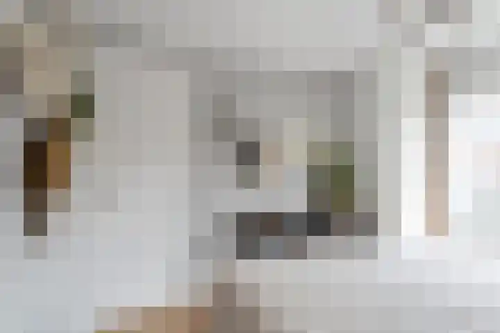 Merellaan 32 Vlaardingen thumbnail 32