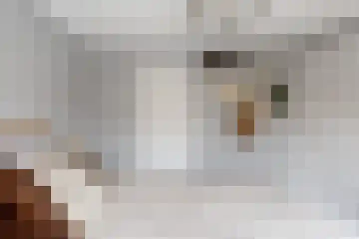 Merellaan 32 Vlaardingen thumbnail 33
