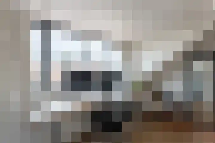 Merellaan 32 Vlaardingen thumbnail 40