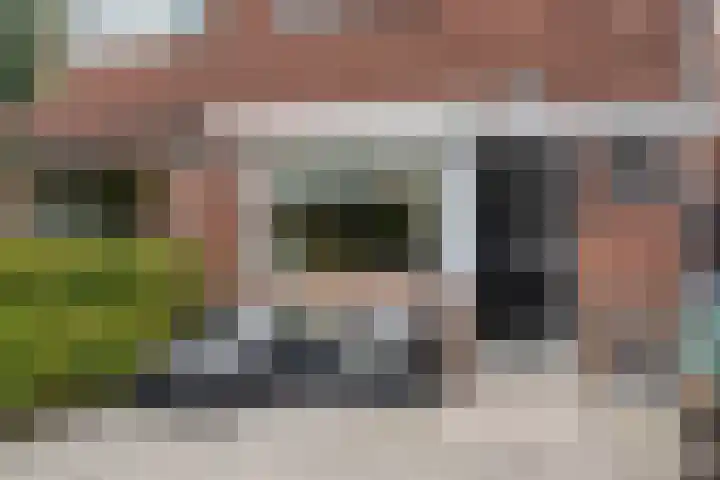 Merellaan 32 Vlaardingen thumbnail 8