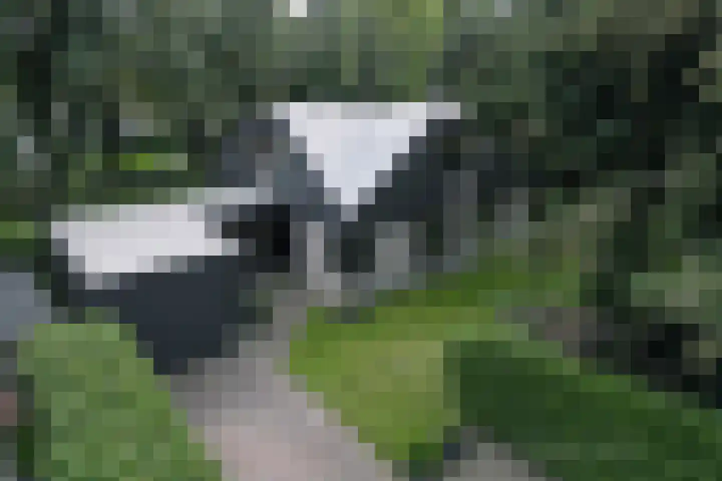 Merellaan 34 Nieuwe Pekela foto 3