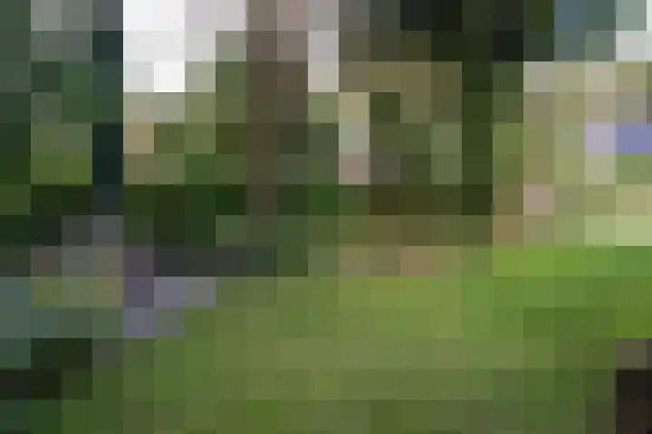 Merellaan 34 Nieuwe Pekela thumbnail 35