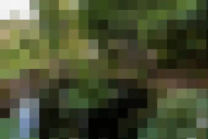 Merellaan 34 Nieuwe Pekela thumbnail 36