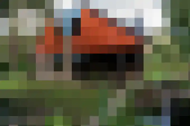 Merellaan 34 Nieuwe Pekela thumbnail 37