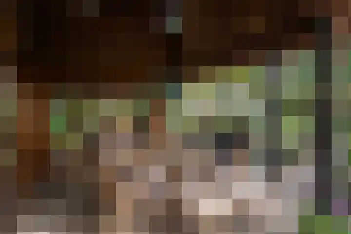 Merellaan 34 Nieuwe Pekela thumbnail 38