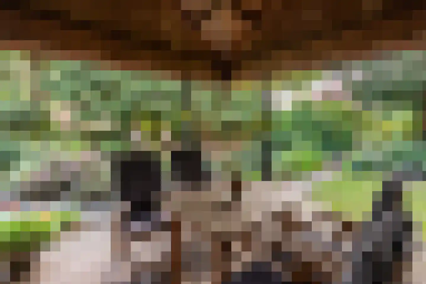 Merellaan 34 Nieuwe Pekela thumbnail 39