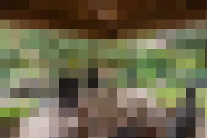 Merellaan 34 Nieuwe Pekela thumbnail 39