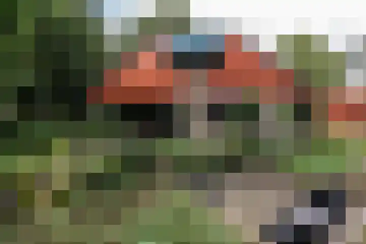 Merellaan 34 Nieuwe Pekela thumbnail 43