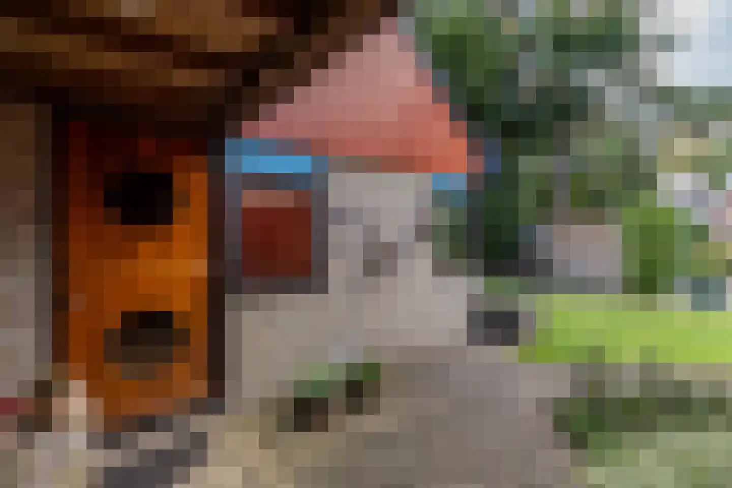 Merellaan 34 Nieuwe Pekela thumbnail 47