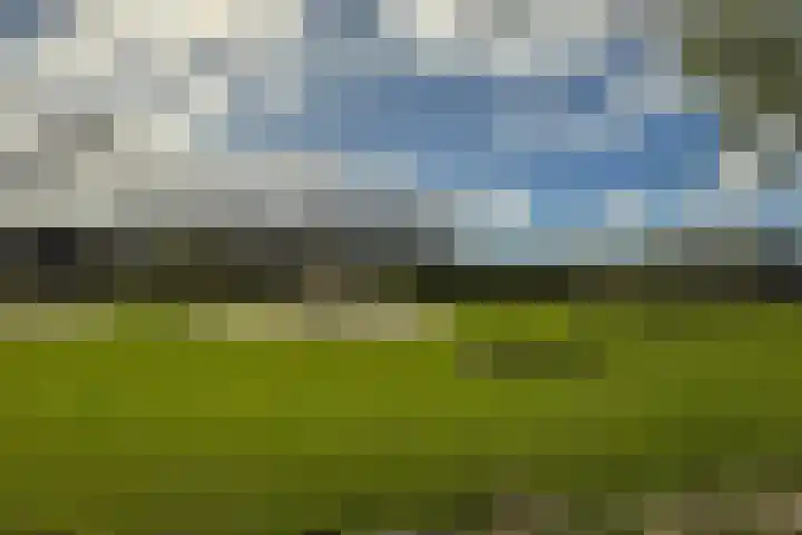 Merellaan 34 Nieuwe Pekela thumbnail 50