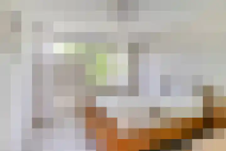 Merellaan 342 A Capelle aan den IJssel thumbnail 14