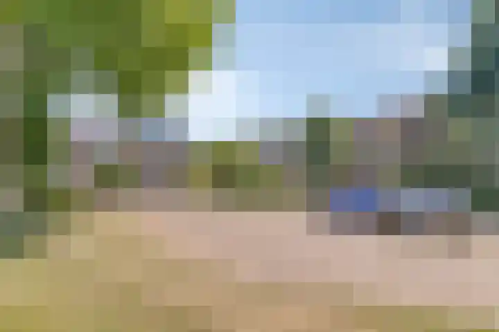 Merellaan 342 A Capelle aan den IJssel thumbnail 29