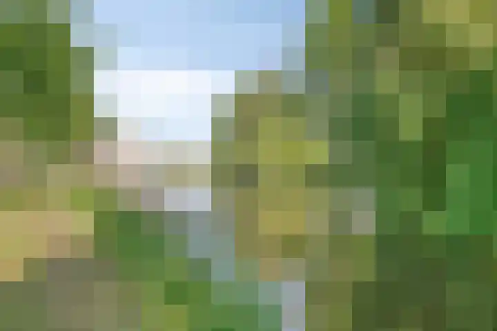 Merellaan 342 A Capelle aan den IJssel thumbnail 31