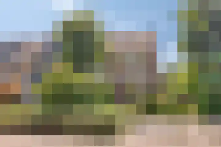 Merellaan 342 A Capelle aan den IJssel thumbnail 5