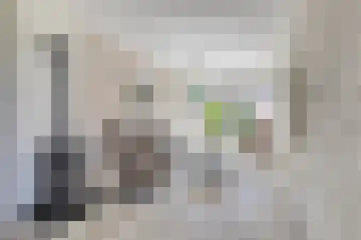 Merellaan 342 A Capelle aan den IJssel thumbnail 6