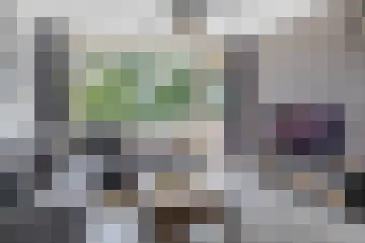 Merellaan 36 Capelle aan den IJssel thumbnail 13