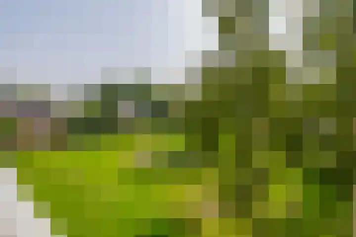 Merellaan 36 Capelle aan den IJssel thumbnail 35