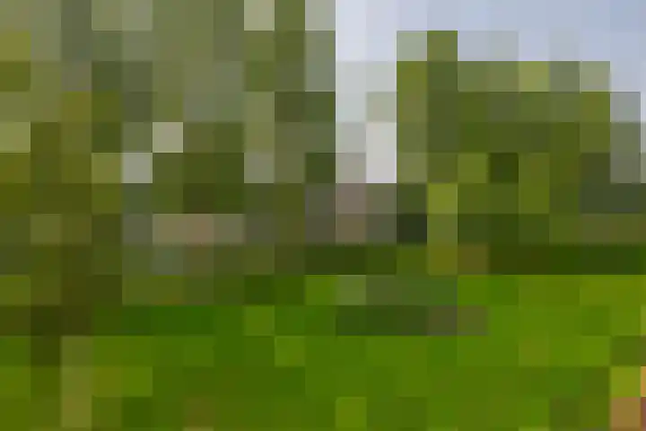 Merellaan 36 Capelle aan den IJssel thumbnail 36