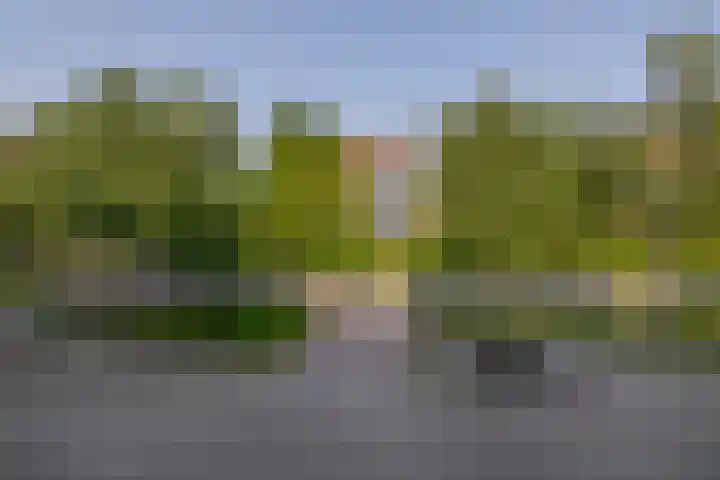 Merellaan 36 Capelle aan den IJssel thumbnail 37