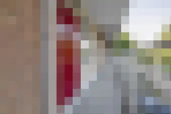 Merellaan 36 Capelle aan den IJssel thumbnail 8