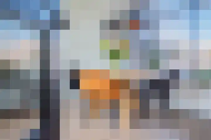 Merellaan 36 Ulft thumbnail 10