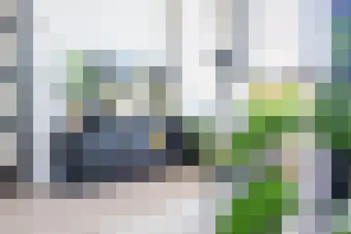 Merellaan 36 Ulft thumbnail 12