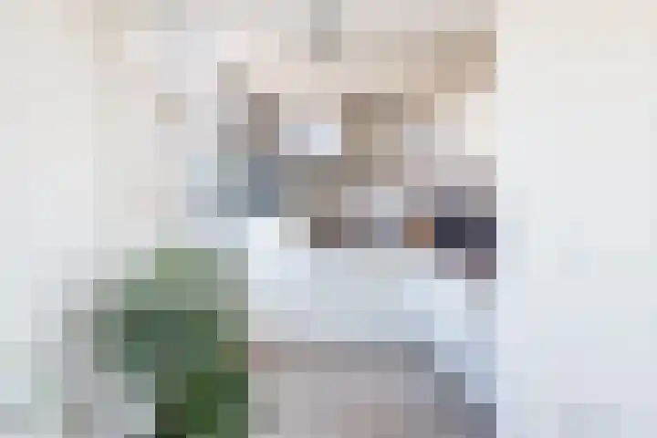 Merellaan 36 Ulft thumbnail 14