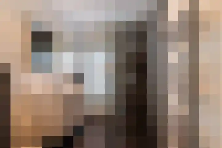 Merellaan 36 Vlaardingen thumbnail 4