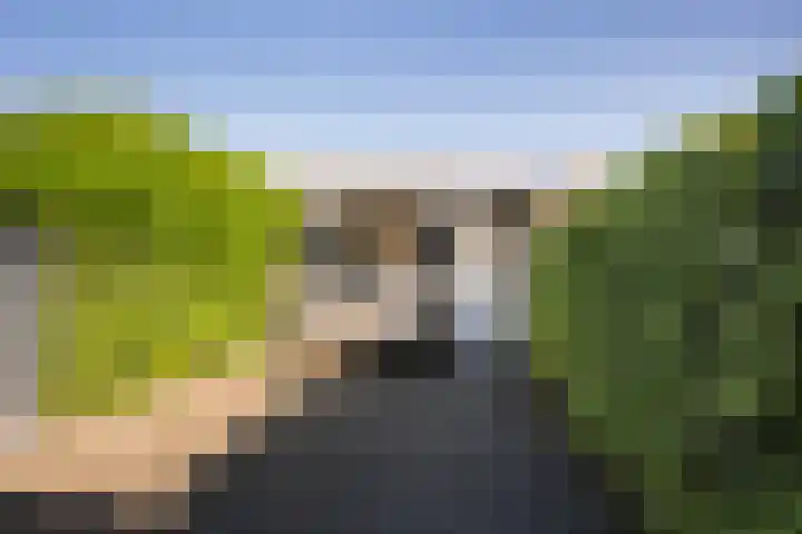 Merellaan 36 Vlaardingen thumbnail 6