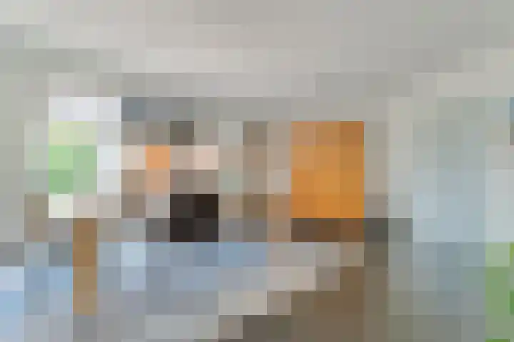 Merellaan 37 Nieuwleusen thumbnail 12