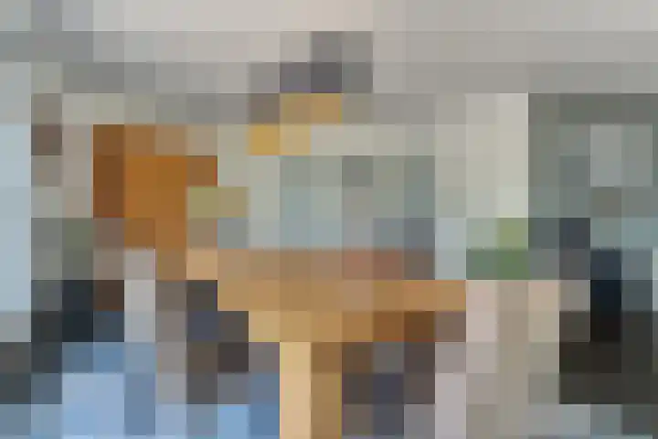 Merellaan 37 Nieuwleusen thumbnail 13