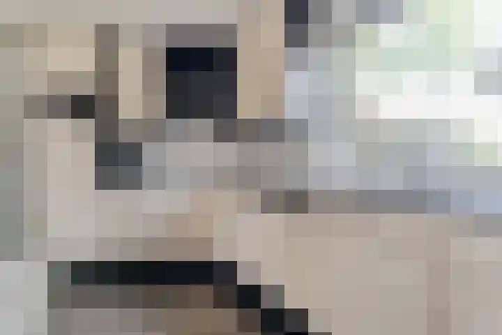 Merellaan 37 Nieuwleusen thumbnail 16