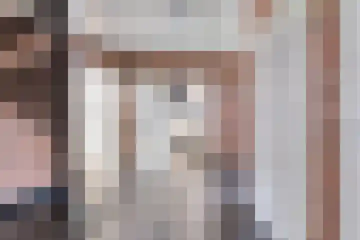 Merellaan 37 Nieuwleusen thumbnail 18