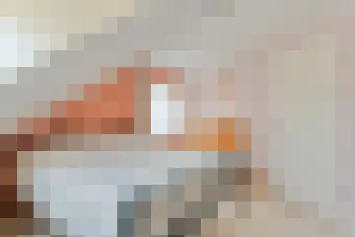 Merellaan 37 Nieuwleusen thumbnail 25