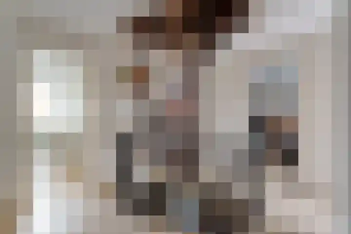 Merellaan 37 Nieuwleusen thumbnail 32