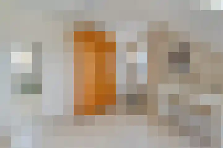 Merellaan 37 Nieuwleusen thumbnail 34