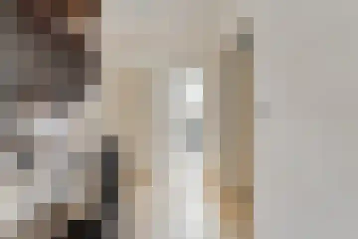 Merellaan 37 Nieuwleusen thumbnail 36