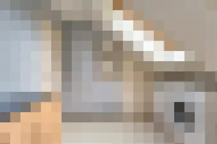 Merellaan 37 Nieuwleusen thumbnail 38