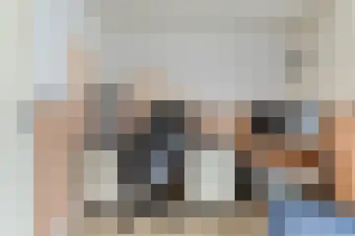 Merellaan 37 Nieuwleusen thumbnail 39