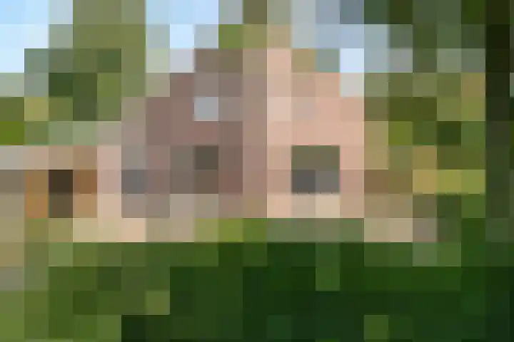 Merellaan 37 Nieuwleusen thumbnail 4