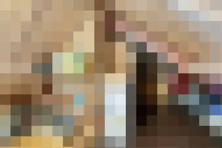 Merellaan 37 Nieuwleusen thumbnail 43
