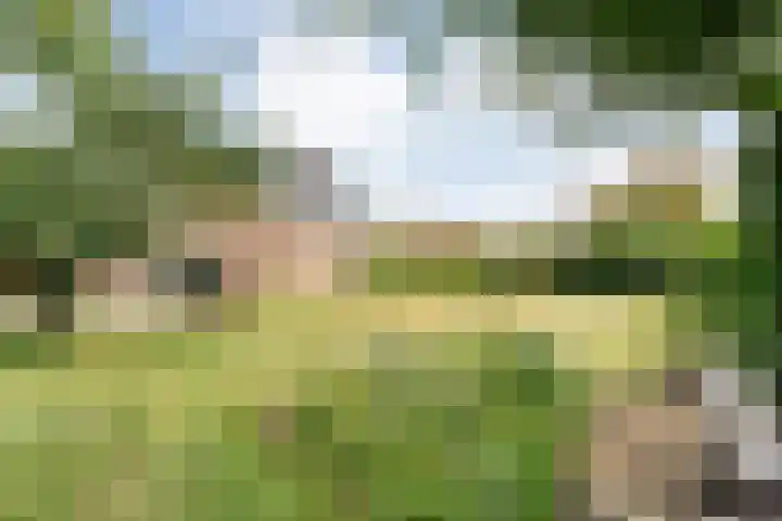 Merellaan 37 Nieuwleusen thumbnail 5